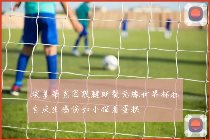 埃基蒂克因跟腱断裂无缘世界杯独自庆生感伤如小猫看蛋糕