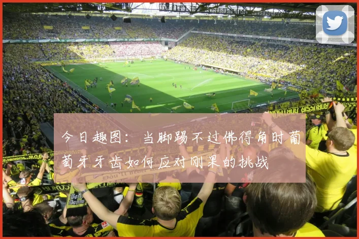 今日趣图：当脚踢不过佛得角时葡萄牙牙齿如何应对刚果的挑战
